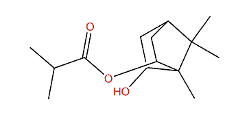 6-Hydroxy-isobornyl isobutyrate